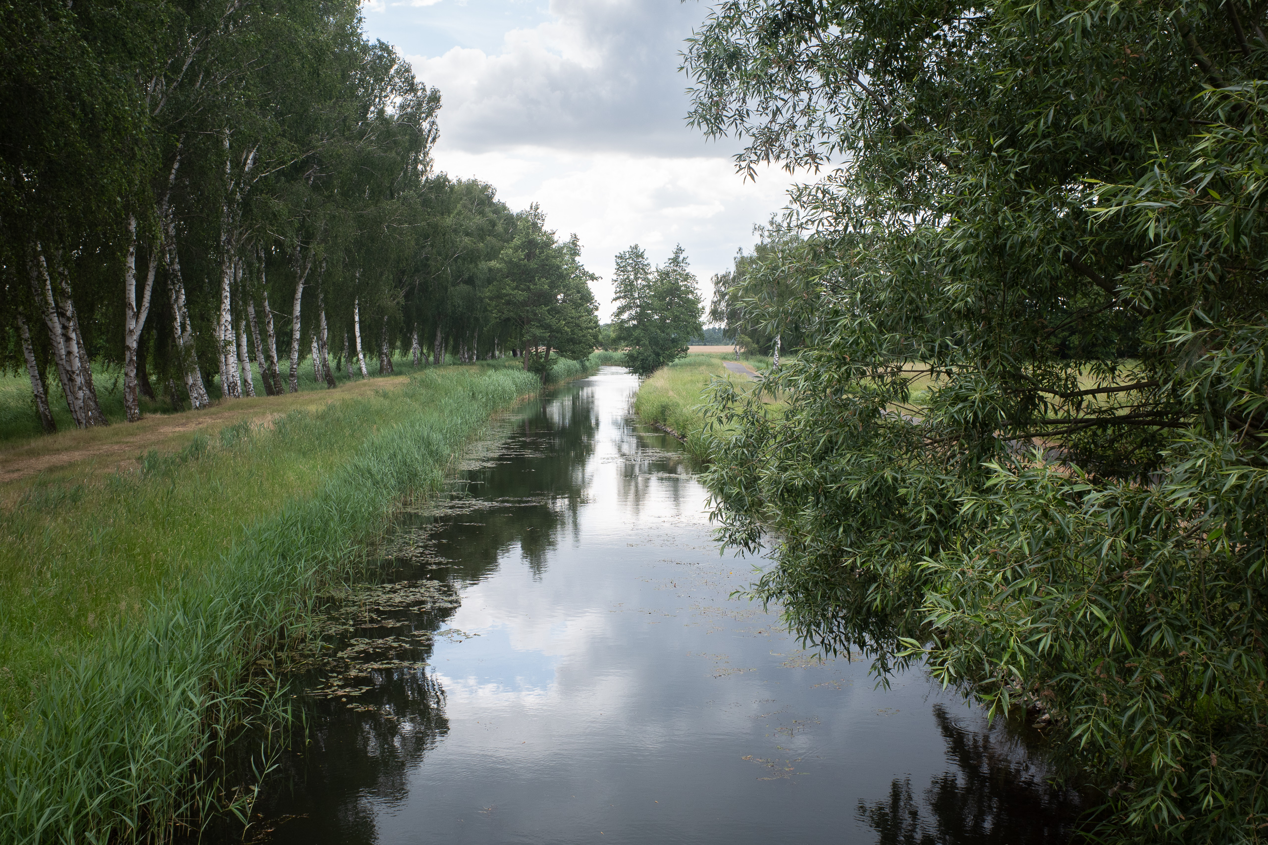 Abendstimmung – Groß Köris nähert sich